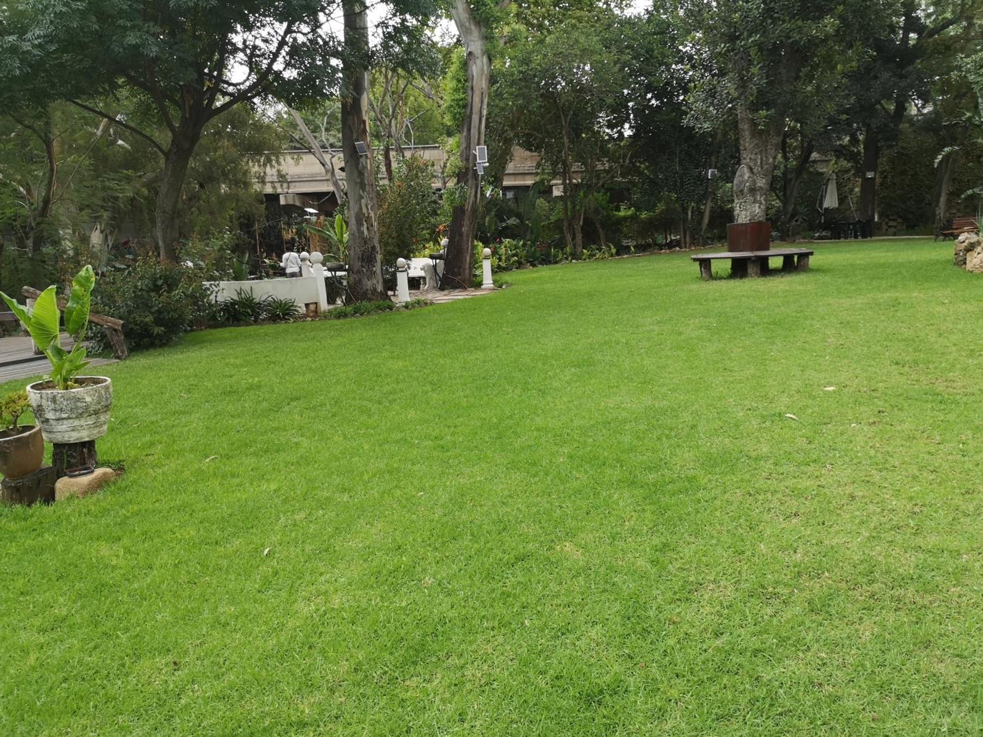 Lotus Guest House ヨハネスブルグ エクステリア 写真