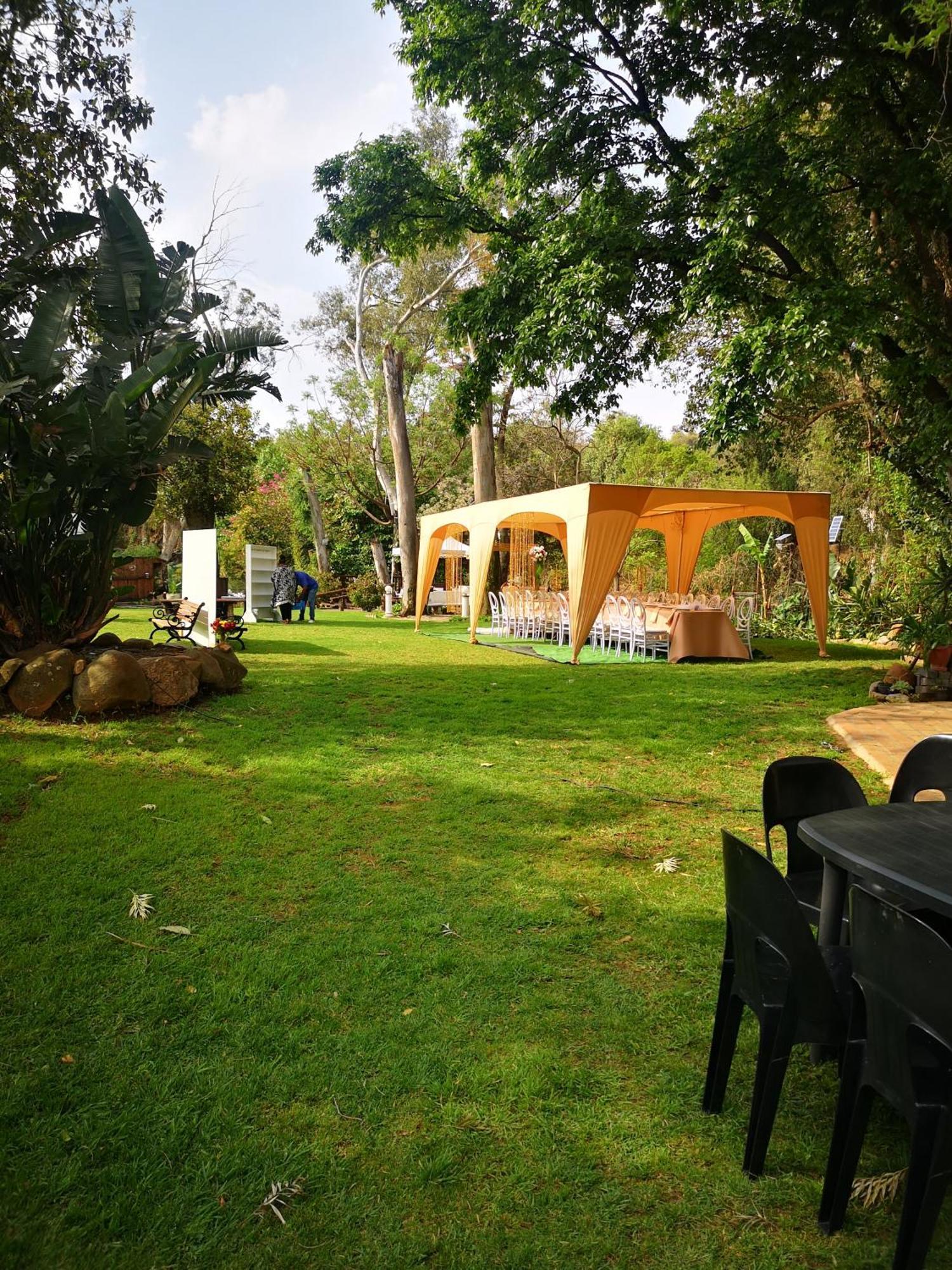 Lotus Guest House ヨハネスブルグ エクステリア 写真