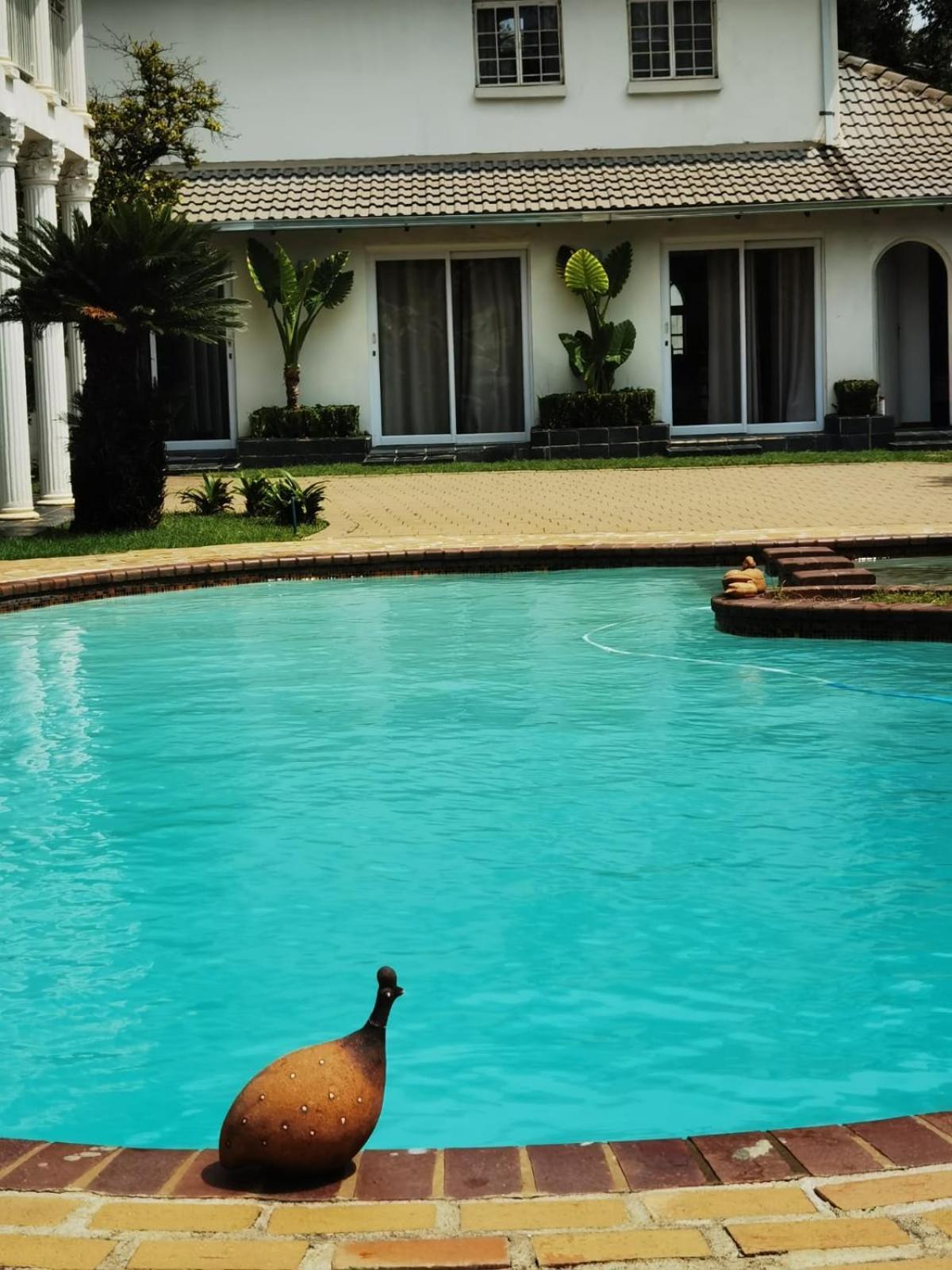 Lotus Guest House ヨハネスブルグ エクステリア 写真