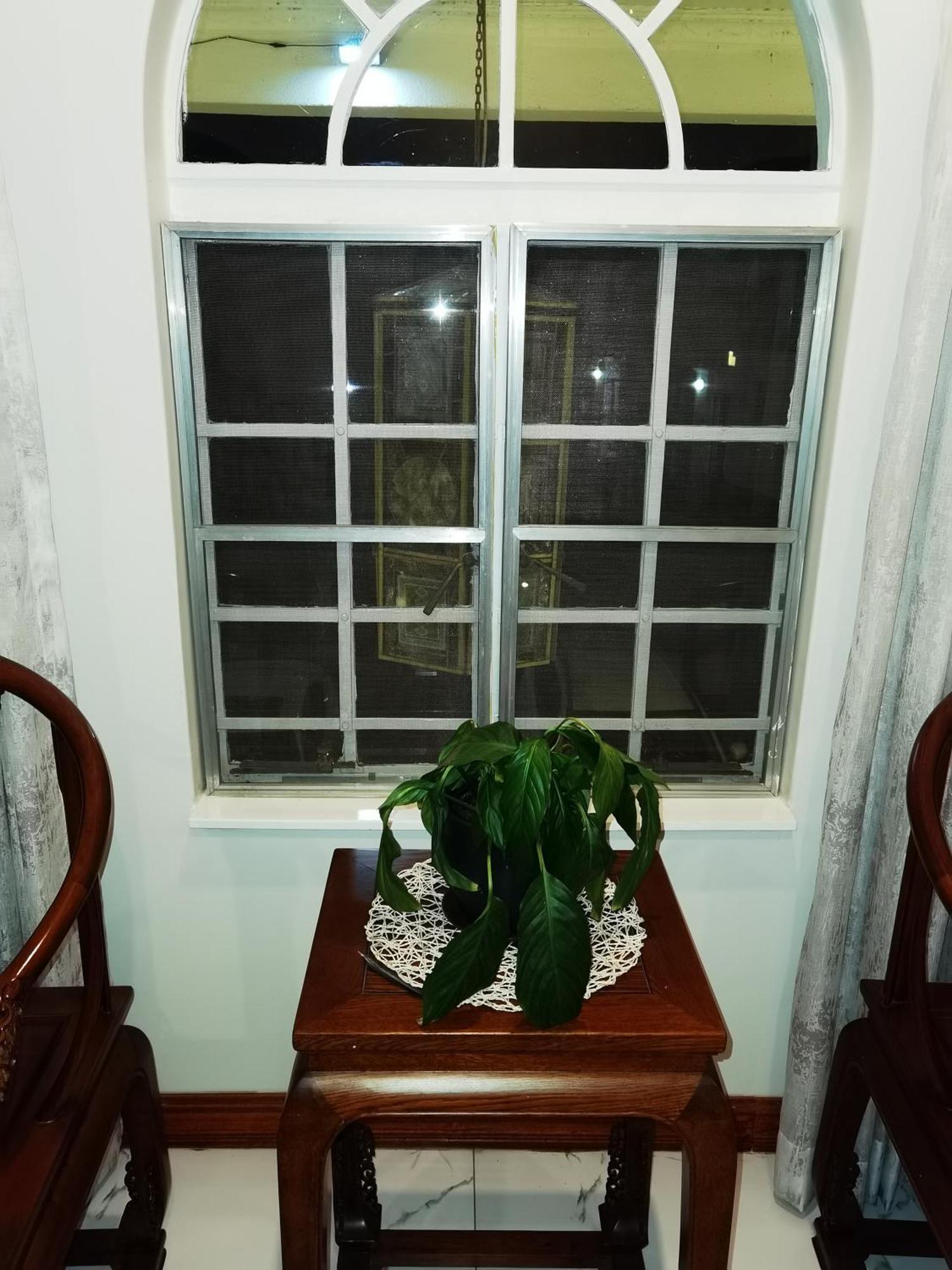 Lotus Guest House ヨハネスブルグ エクステリア 写真